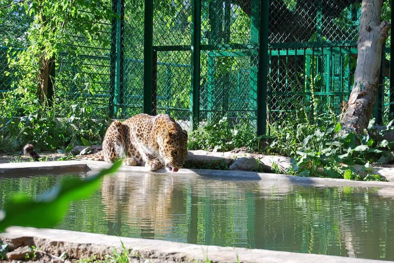 Zoo
