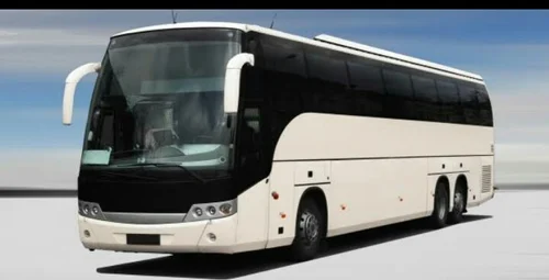 Bus services